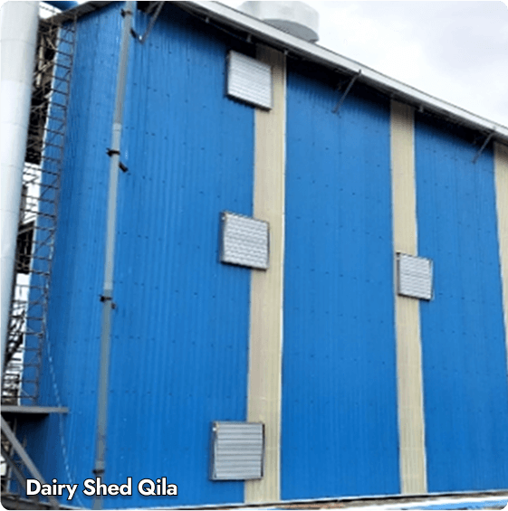 Dairy Shed Qila